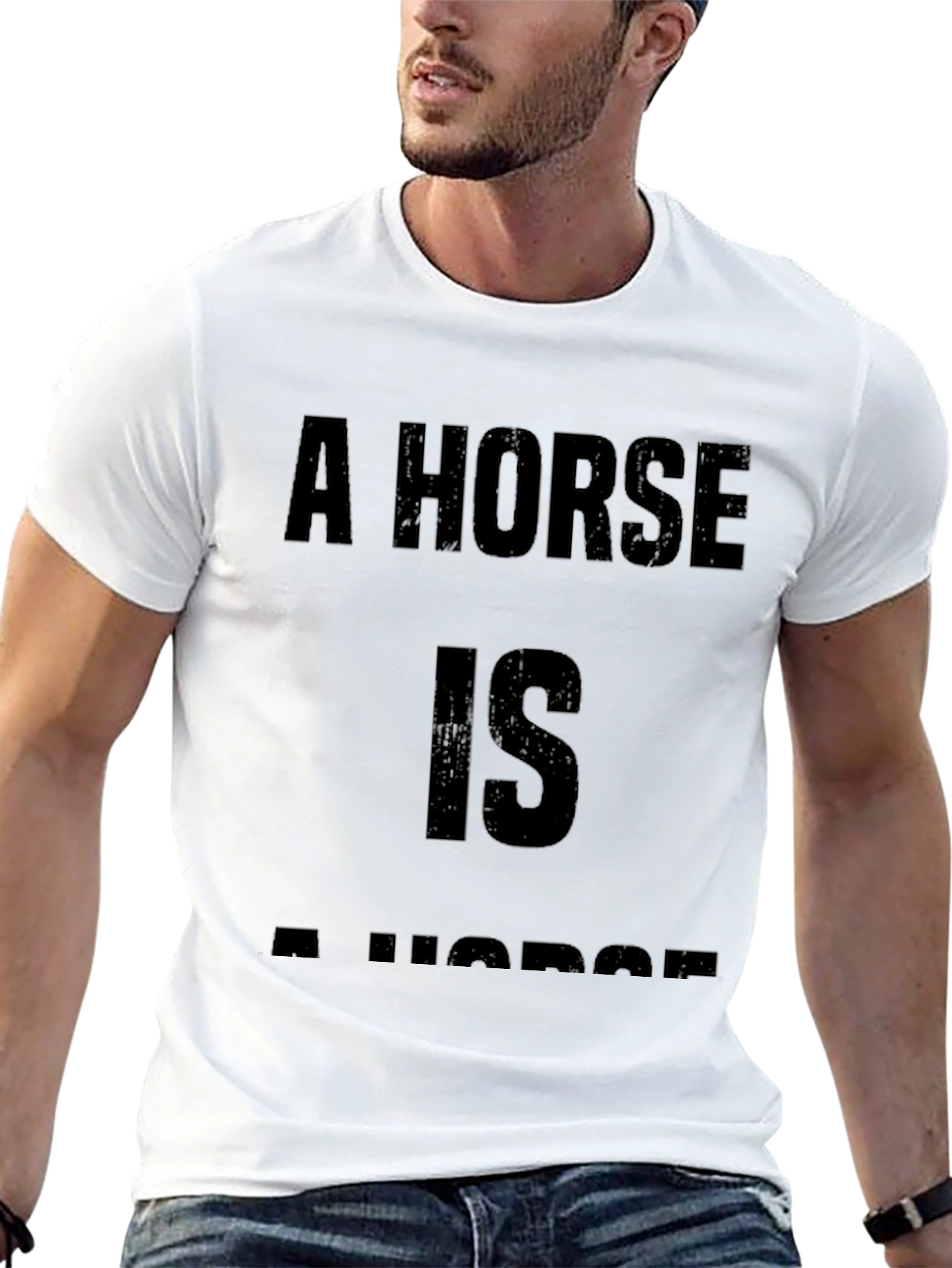 A Horse is a Horse Funny T-Shirt