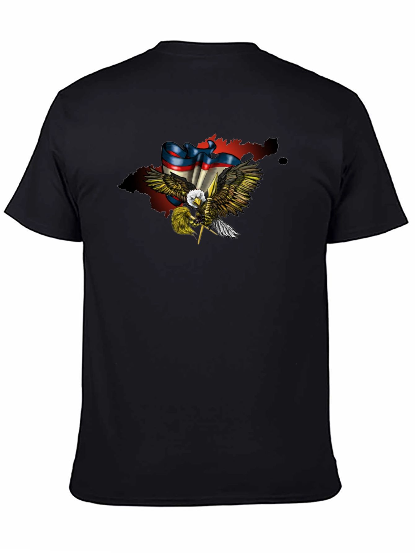 Eagle Flag Graphic Print T-Shirt
