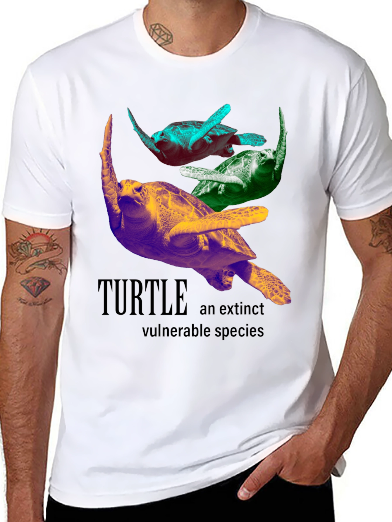 Turtle Species Graphic Tee