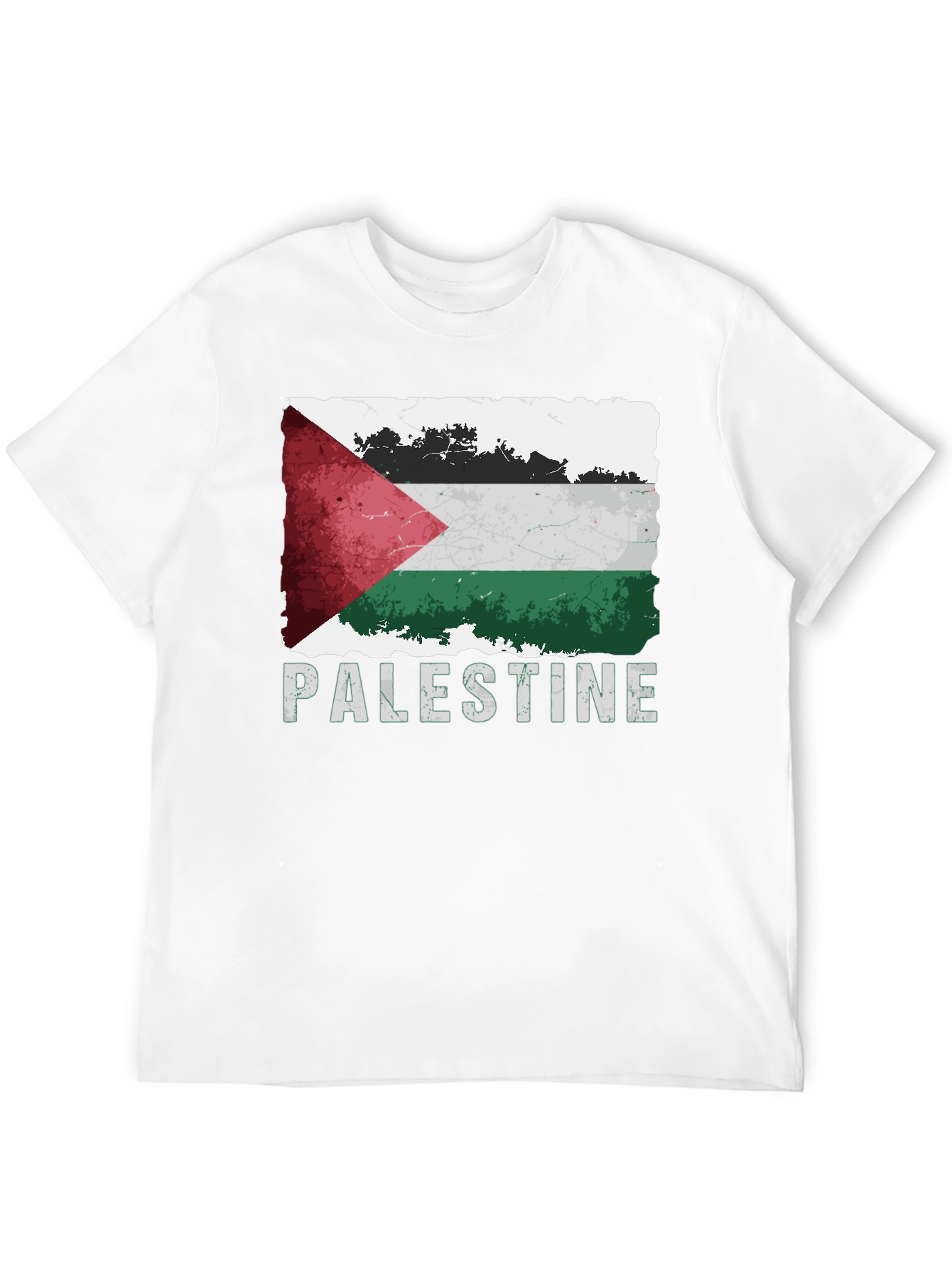 Palestine Flag Graphic T-Shirt