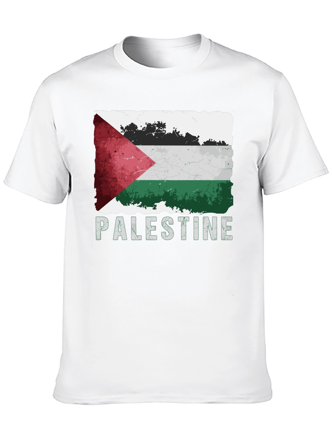 Palestine Flag Graphic T-Shirt