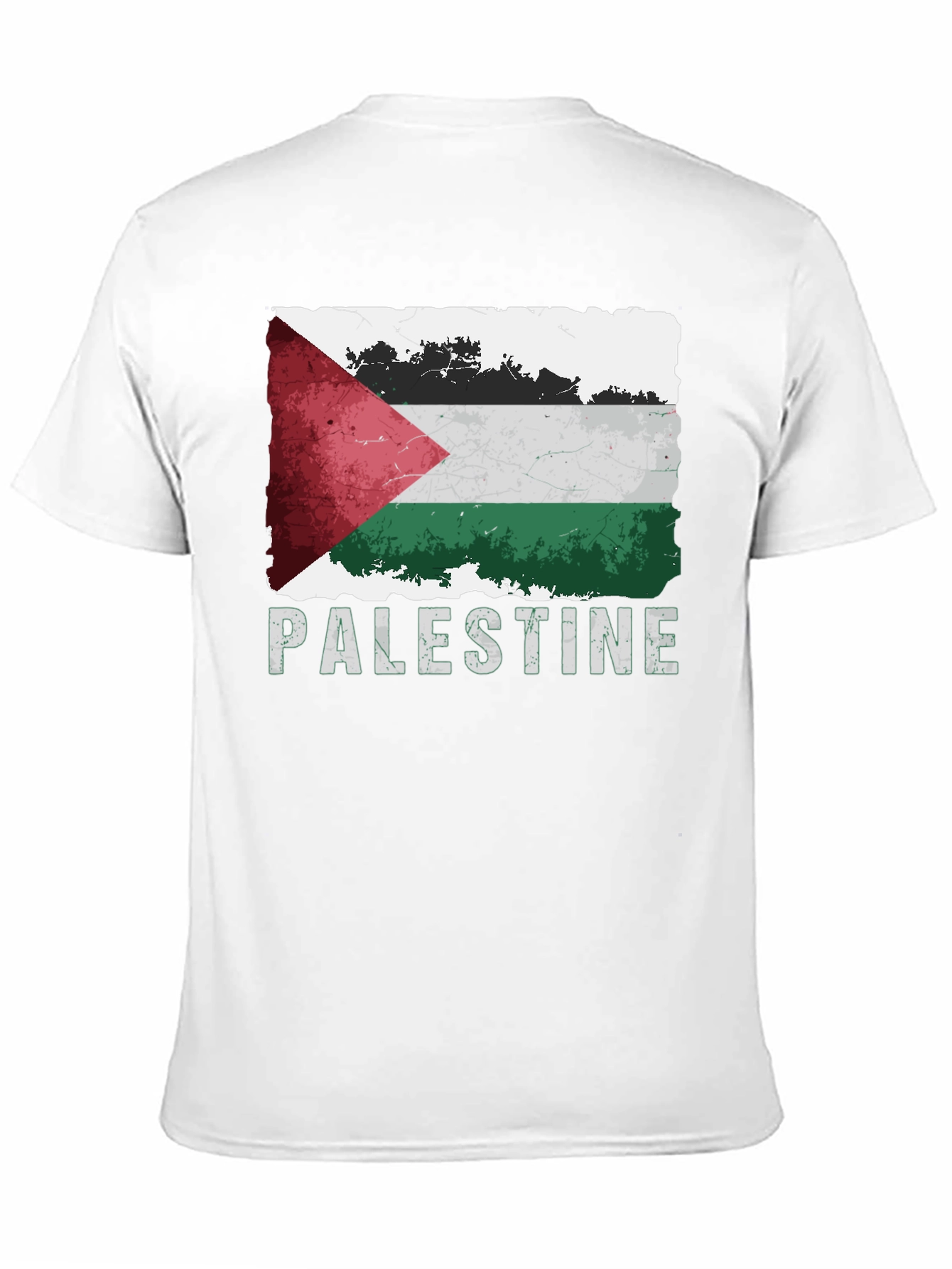 Palestine Flag Graphic T-Shirt