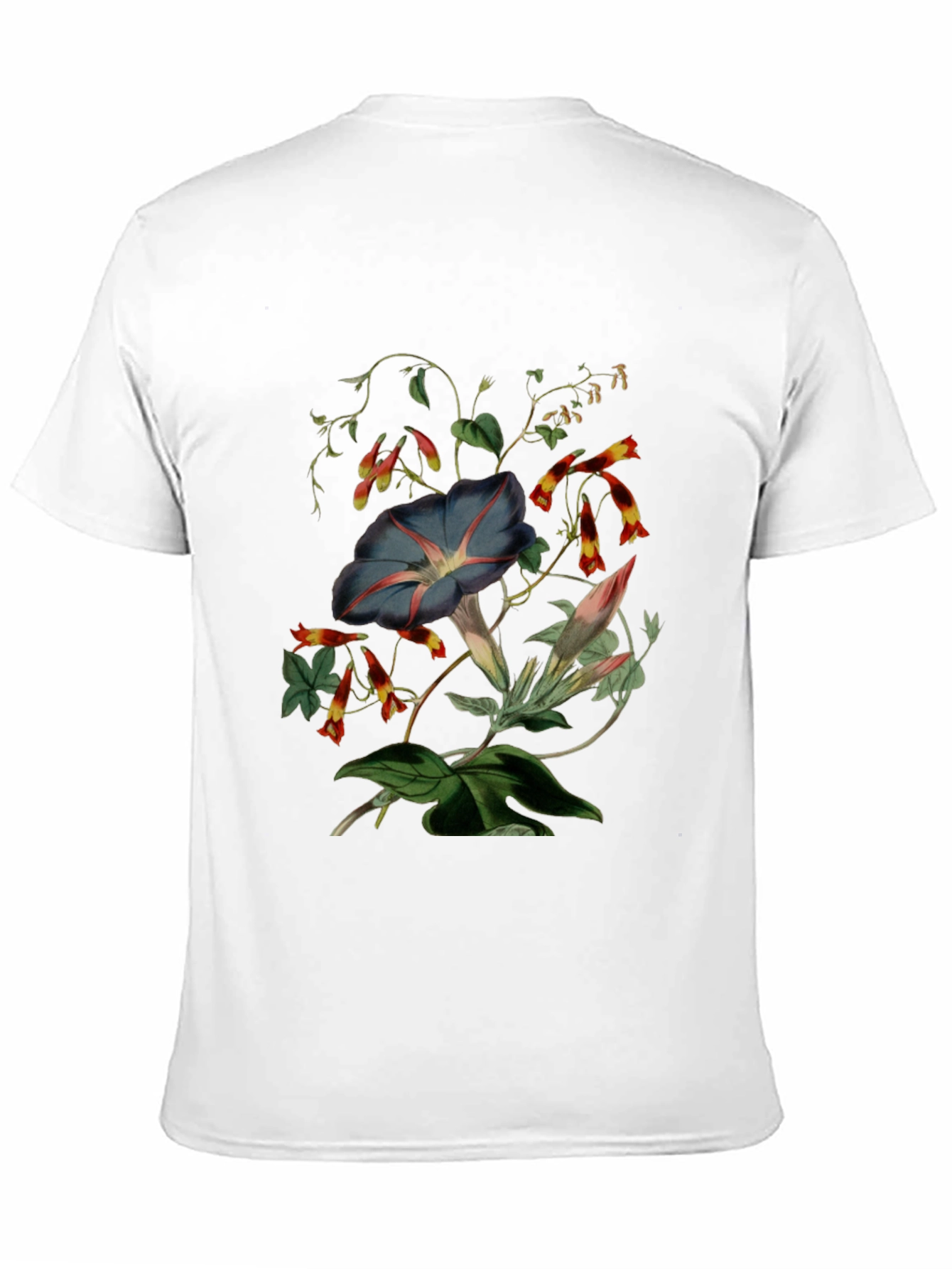 Floral Botanical Print Black T-Shirt